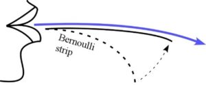 Bernoulli Strip
