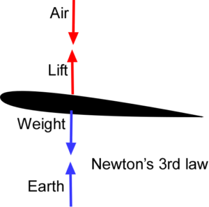 Forces on a Wing