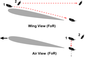 Frames of reference - Wing and Air with Feathers